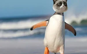 Hey Pandas, Create The Weirdest Animal Yet Using Photoshop (Closed)