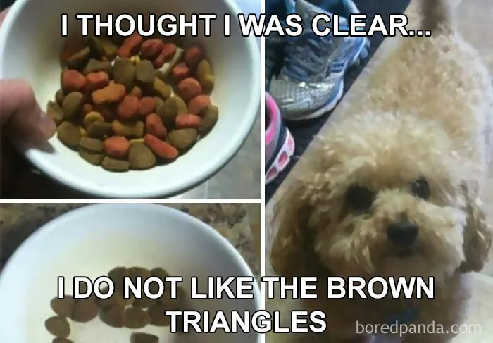 45 Jokes And Memes That Have Picky Eaters Feeling Called Out