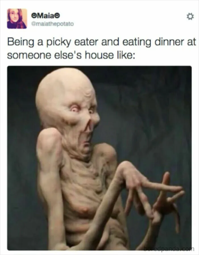 45 Jokes And Memes That Have Picky Eaters Feeling Called Out