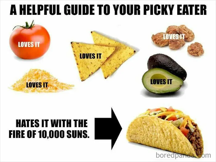45 Jokes And Memes That Have Picky Eaters Feeling Called Out