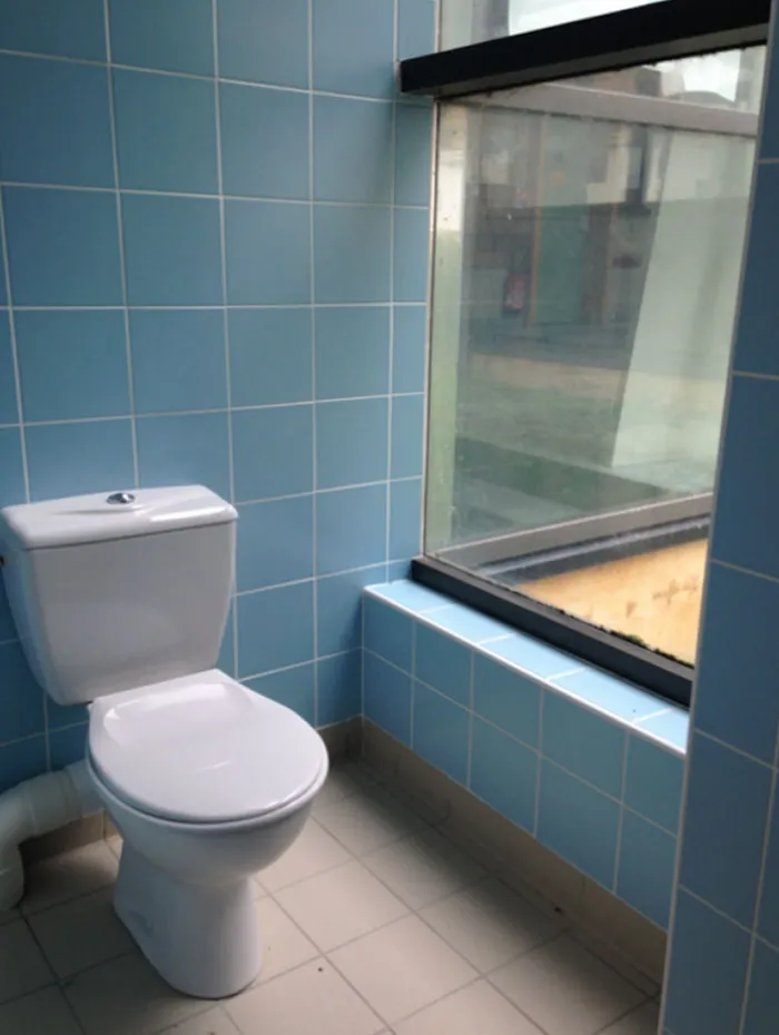 New Toilets At Work, Wonderful View On Our Interior Courtyard