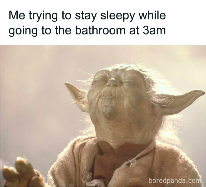 50 Hilarious Memes Most People Will Relate To