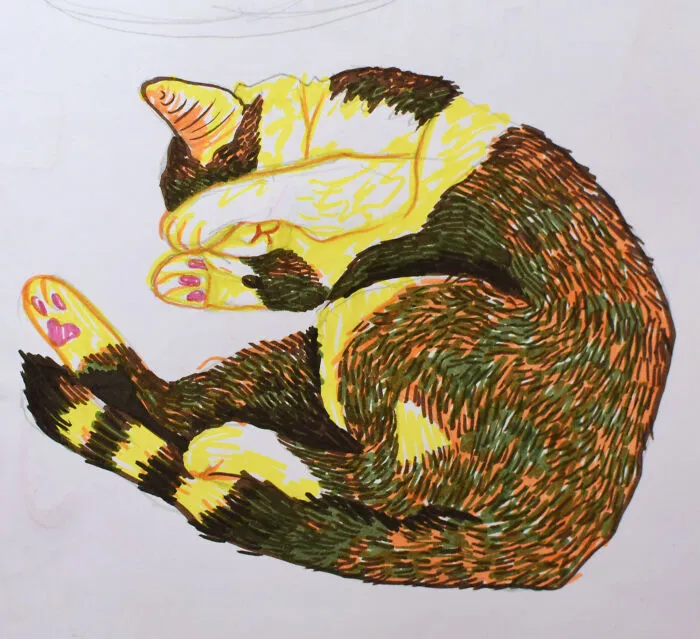 Roomba The Cat