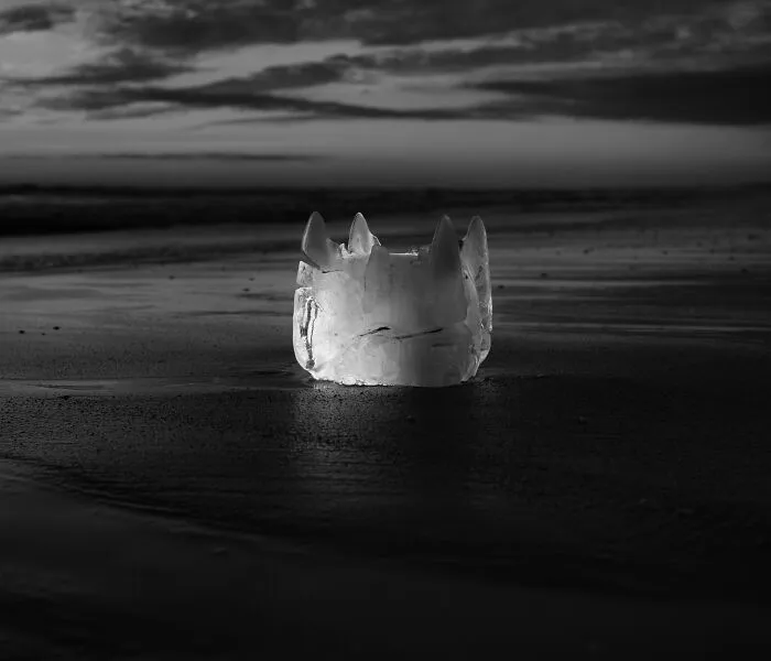 New Zealand Winner: 'Wrong Place Wrong Time',  By Murray Chant