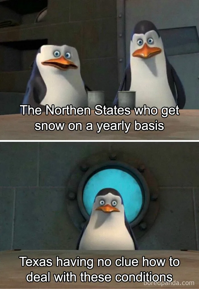 Seriously, How Do People Live In This?