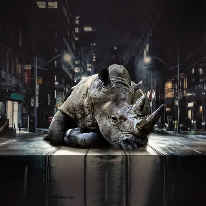 131 Surreal Photo Manipulations That Challenge Logic By Hansruedi Ramsauer