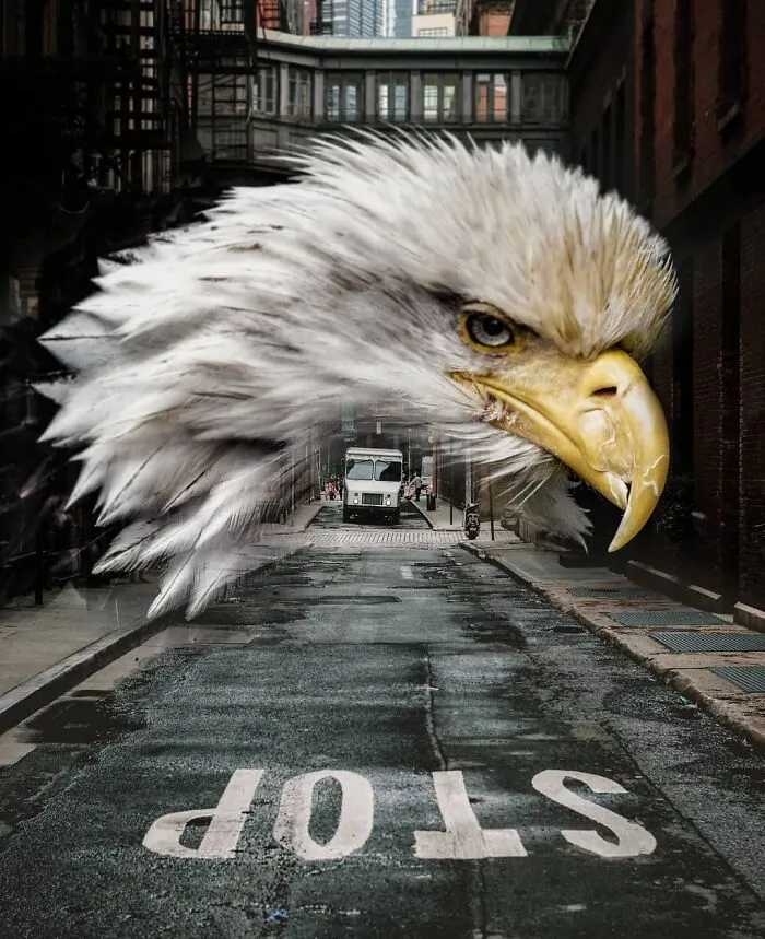 131 Surreal Photo Manipulations That Challenge Logic By Hansruedi Ramsauer