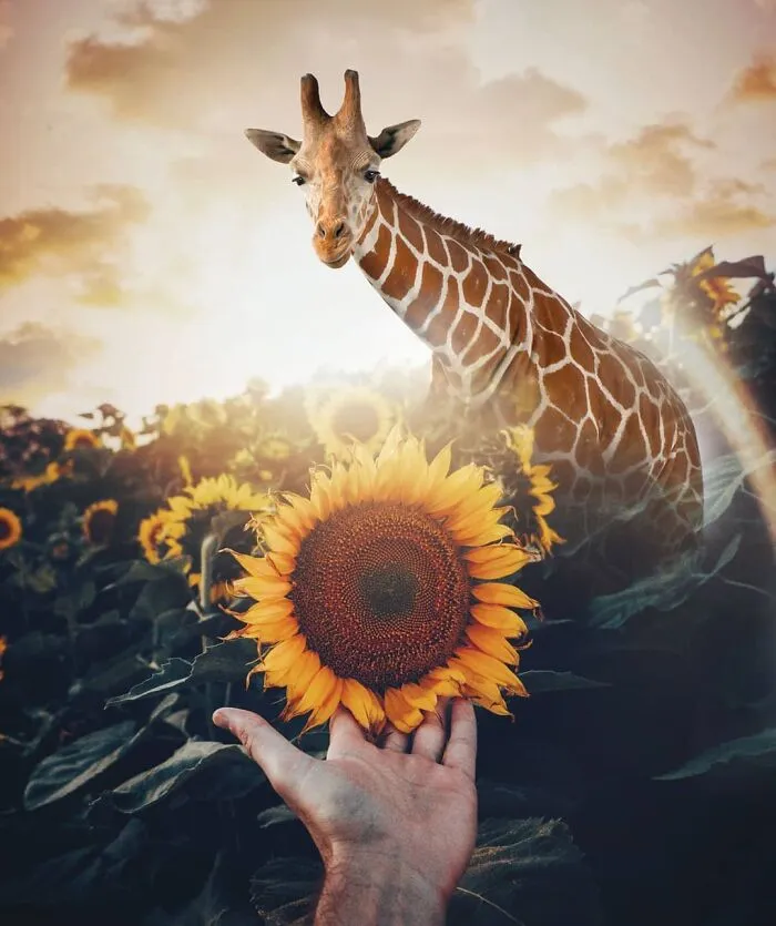 131 Surreal Photo Manipulations That Challenge Logic By Hansruedi Ramsauer