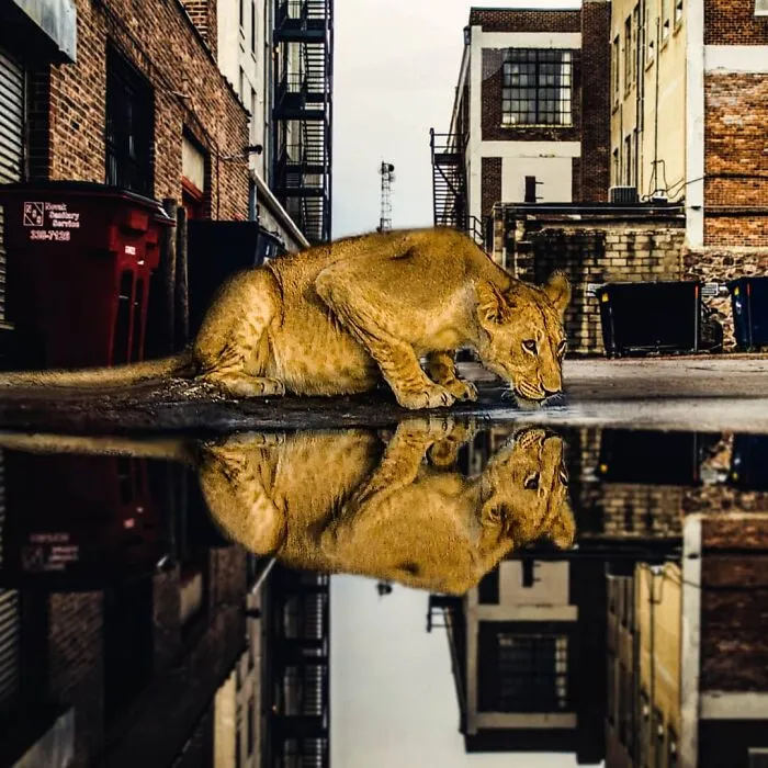 131 Surreal Photo Manipulations That Challenge Logic By Hansruedi Ramsauer