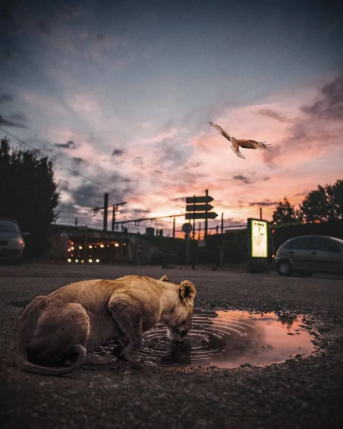131 Surreal Photo Manipulations That Challenge Logic By Hansruedi Ramsauer