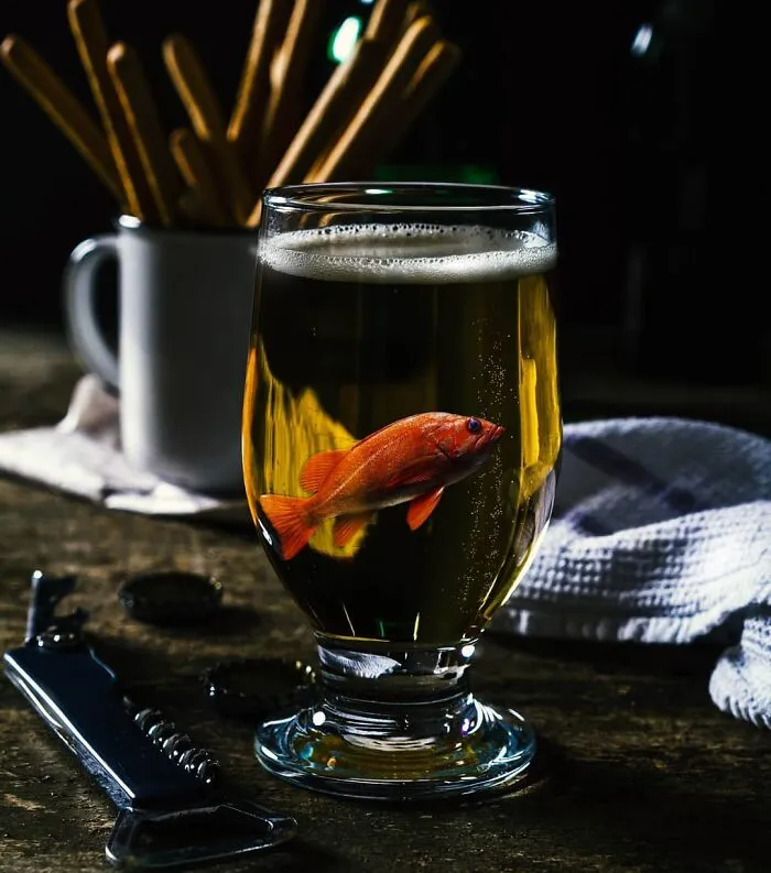 131 Surreal Photo Manipulations That Challenge Logic By Hansruedi Ramsauer
