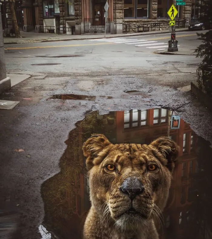 131 Surreal Photo Manipulations That Challenge Logic By Hansruedi Ramsauer