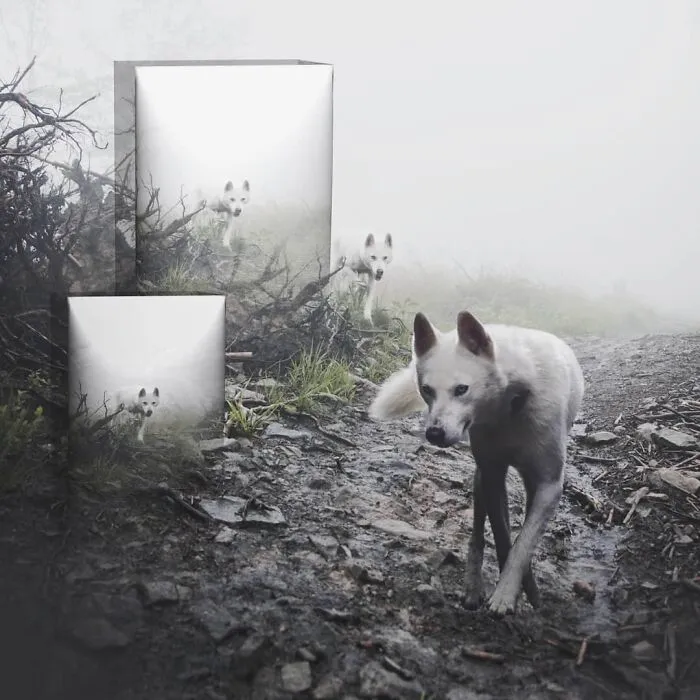 131 Surreal Photo Manipulations That Challenge Logic By Hansruedi Ramsauer