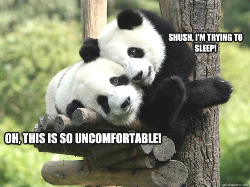 Hey Pandas, Is This Wht Pandas Be Like?