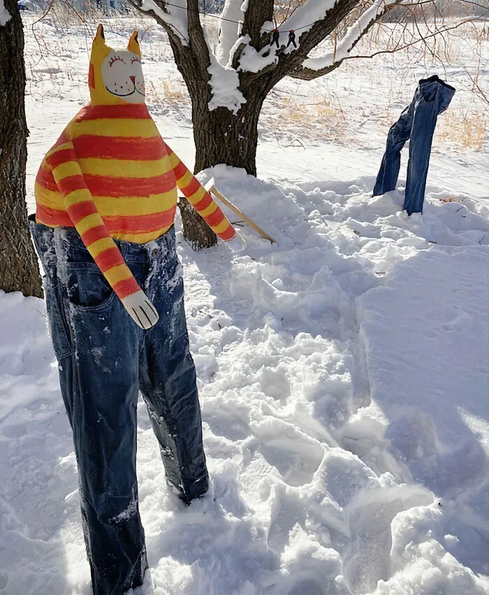 People Are Freezing Their Pants And Other Clothes And It Looks Like The Coolest Science Experiment (40 Pics)