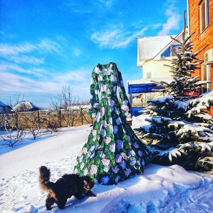 People Are Freezing Their Pants And Other Clothes And It Looks Like The Coolest Science Experiment (40 Pics)
