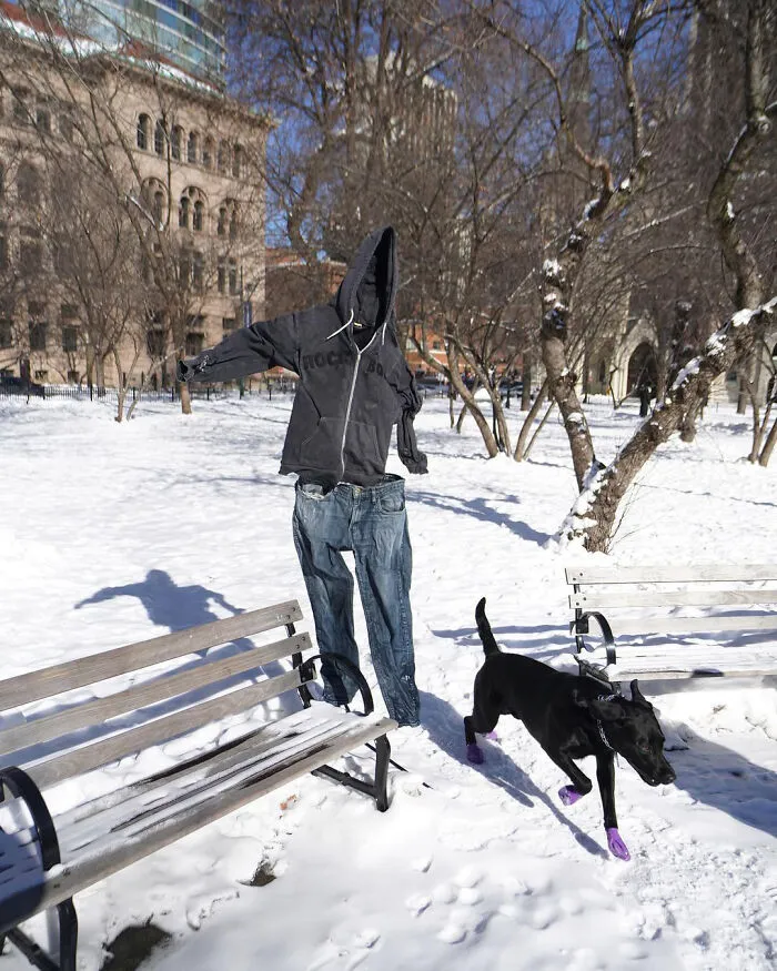 People Are Freezing Their Pants And Other Clothes And It Looks Like The Coolest Science Experiment (40 Pics)