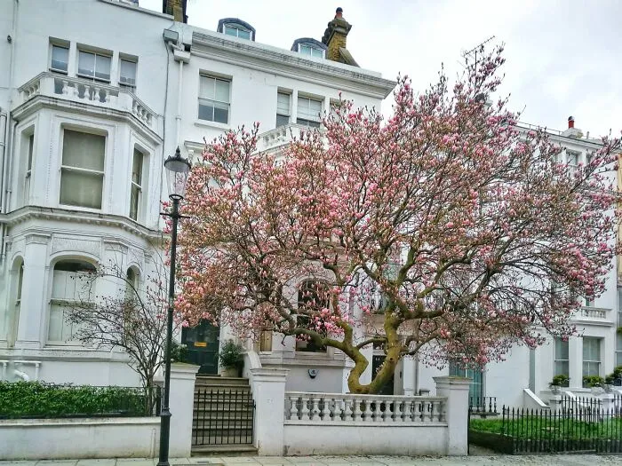 Kensington