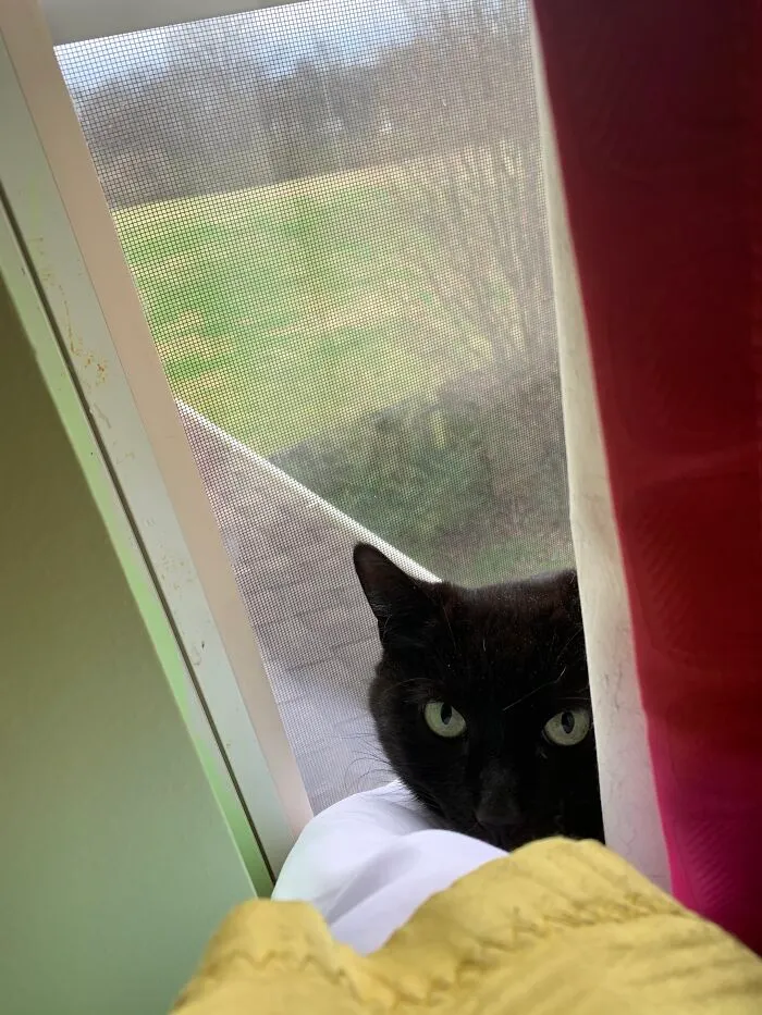 Peek-A-Boo!