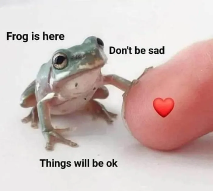 50 Wholesome Memes As Shared By This Page To Brighten Up Your Day