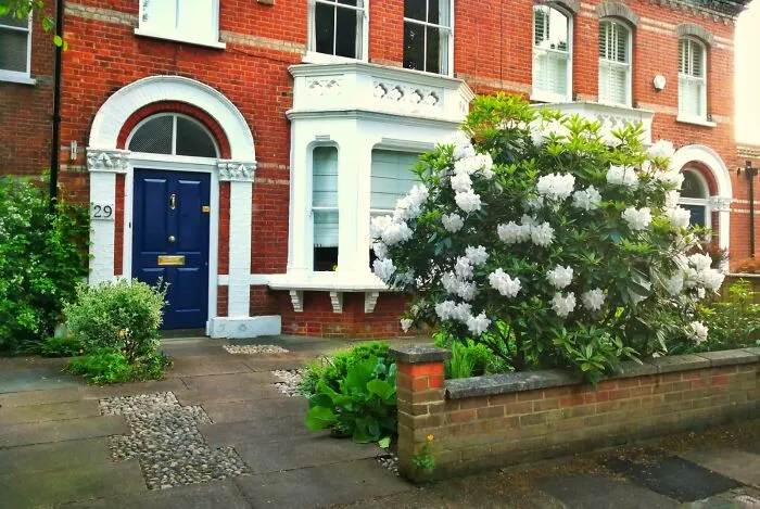 Sw White Blooms