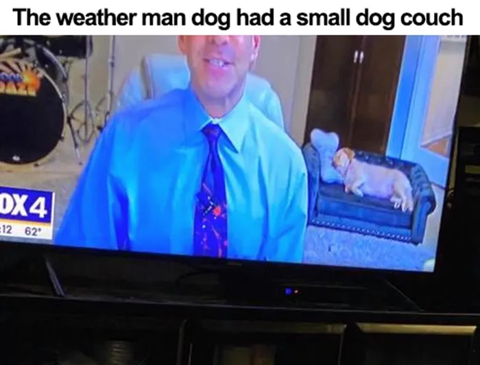 50 Wholesome Memes As Shared By This Page To Brighten Up Your Day