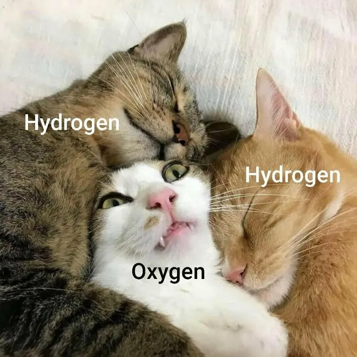 50 Wholesome Memes As Shared By This Page To Brighten Up Your Day