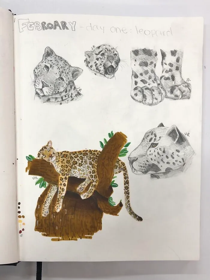 Some Leopard Studies For My Sketchbook!!
