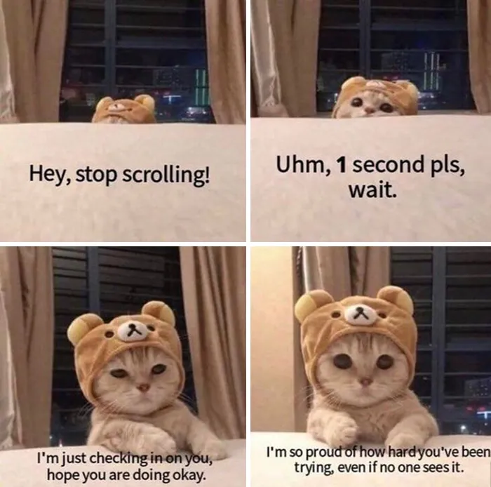 50 Wholesome Memes As Shared By This Page To Brighten Up Your Day