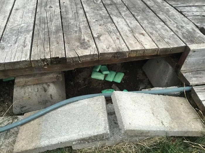 A Rodent Died Under Our Sunroom This Winter And Stunk Up The House. This Was My Landlord's Answer To Fixing The Smell