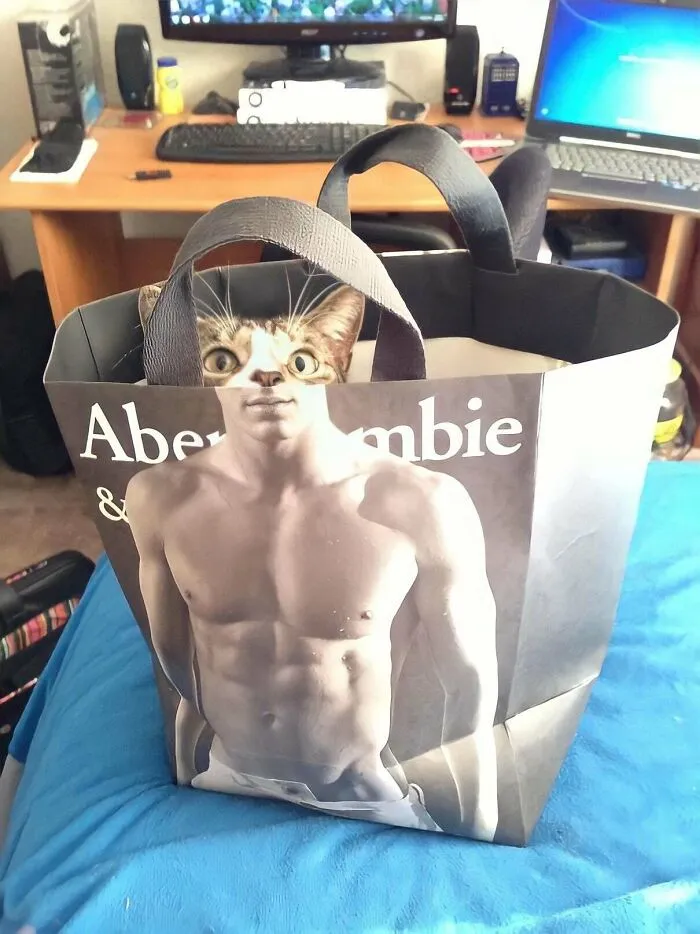 Hi!