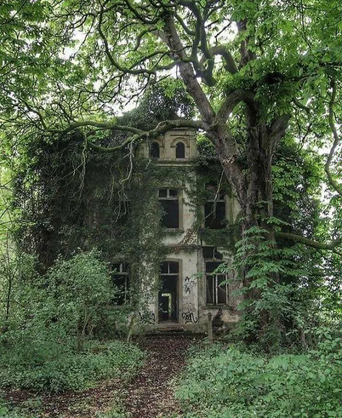Ghostly Overgrown Villa In Germany