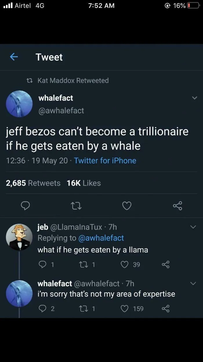 Username Check Out