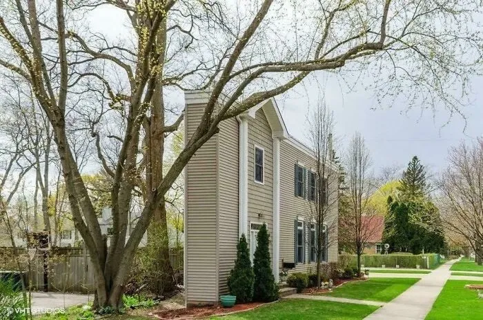 This Mcmansion