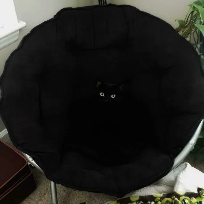 V O I D Kitty