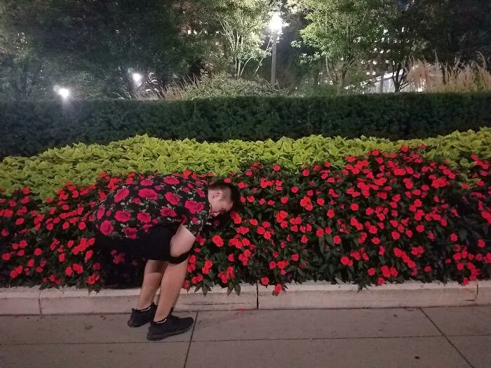 My Shirt Does A Fine Job Blending Me In This Bed Of Flowers
