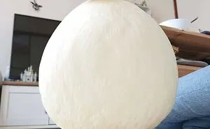 50 "Absolute Unit" Posts That Show Just How Big Things Can Get (New Pics)