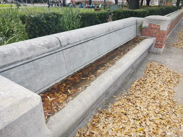 These Benches At My University Are Tilted Back And Have No Drainage System, So The Water Just Sits There For Up To Days After A Rainstorm