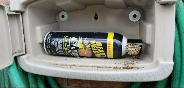 Wasps Made A Nest On My Anti-Wasps Spray Bottle