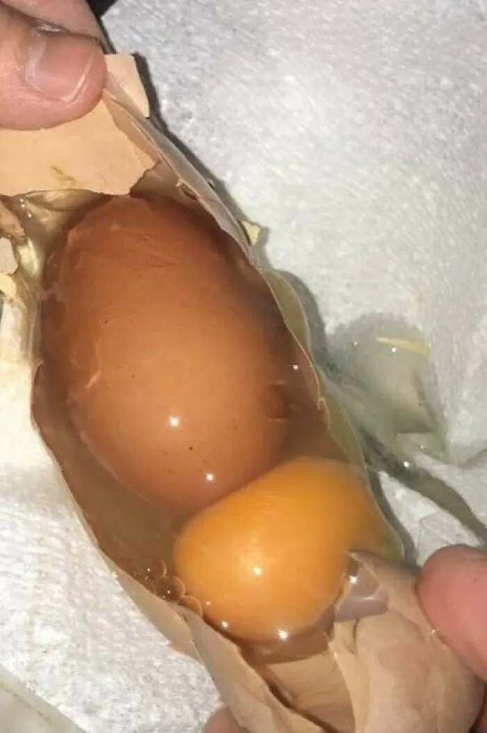 One Of Our Chickens Just Laid A Jumbo Egg With Another Egg Inside