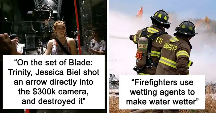‘Today I Learned’: 40 Curious Things People Didn’t Learn At School (New Pics)