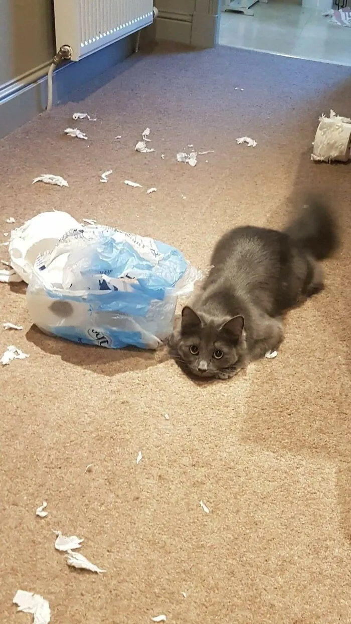 How Could You Be Mad At Her With Eyes Like Those