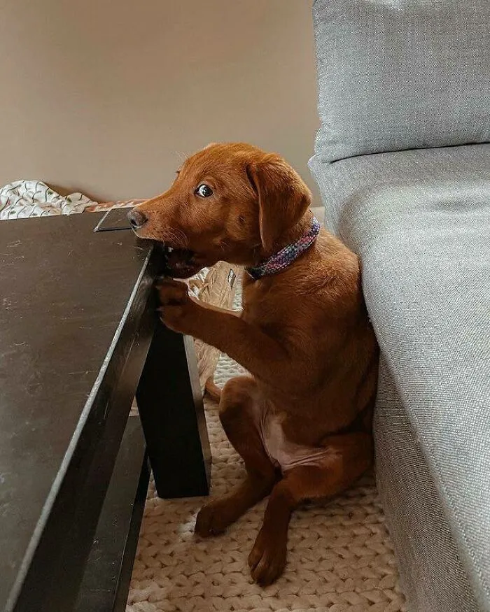 This Isn’t What It Looks Like...