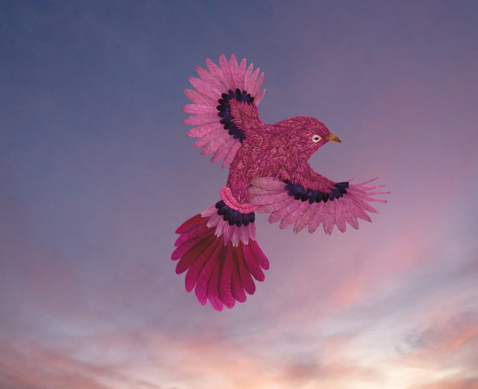 The Original Of This Print, “Ascent At Dusk”, Was Made By Hand Using Pressed Flowers: Cockscomb (Feathers), Purple Coneflower (Wings), Peony (Tail), Nasturtium (Beak) And One Seed (Eye).
