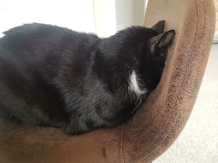 Le gusta dormir así