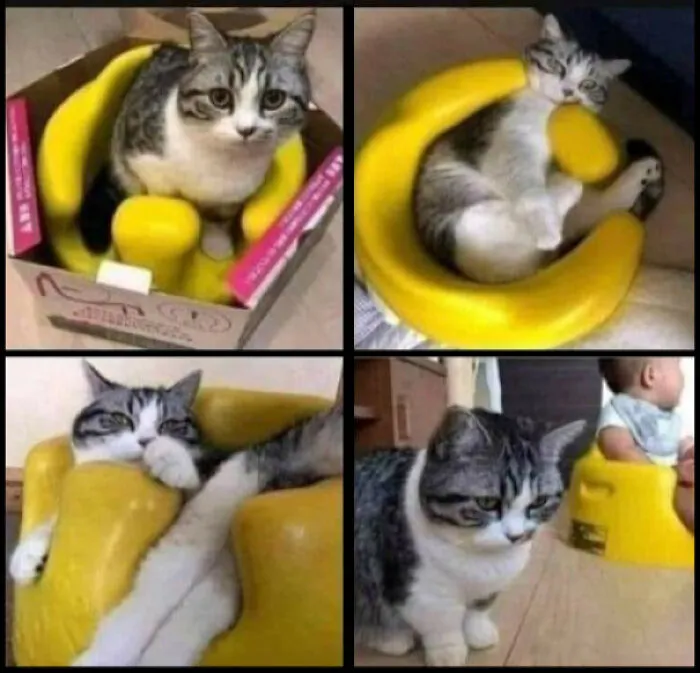 Cuando te gusta el regalo pero no es para ti...