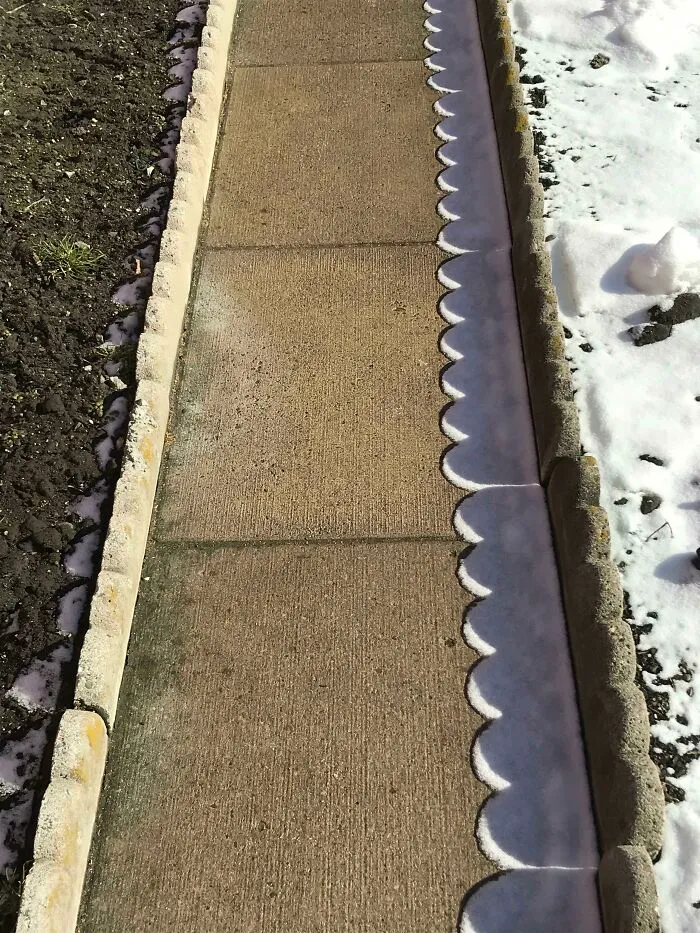 La forma en que la nieve se derritió en mi camino