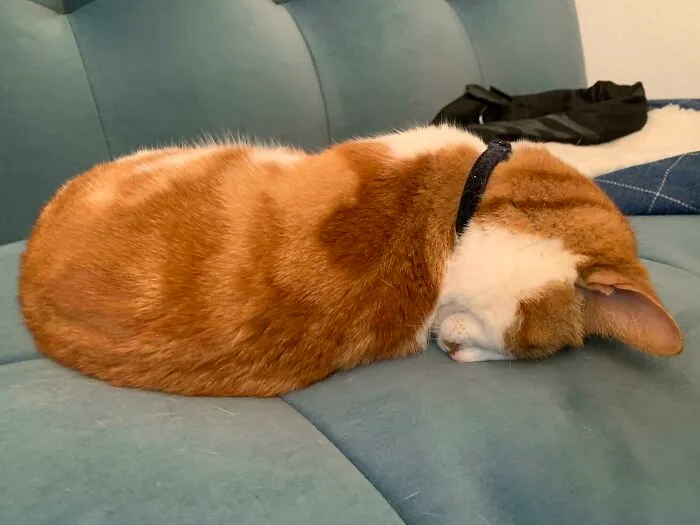 The Ol’ Faceplant