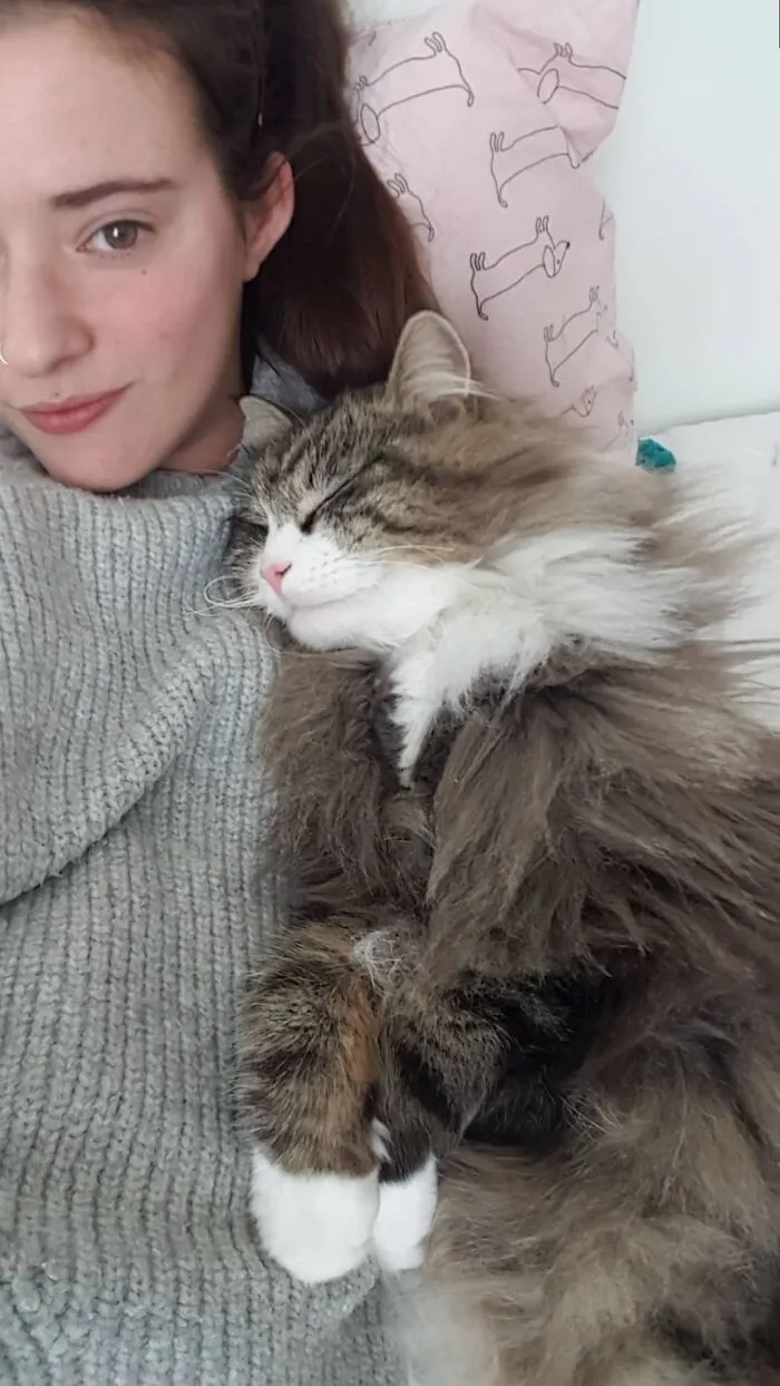 Frankie Was Adopted From The Shelter One Year Ago, Best Decision!