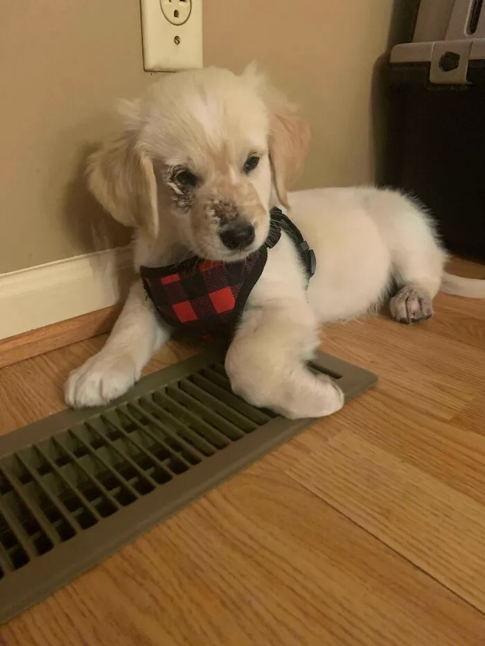 Reddit, Meet Murphy! Rescued 3 Days Ago!